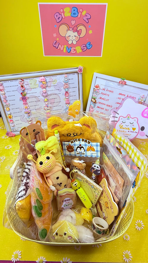🌈 BIZBOX  SIGNATURE 🌈 20 ARTICLES + CADEAU