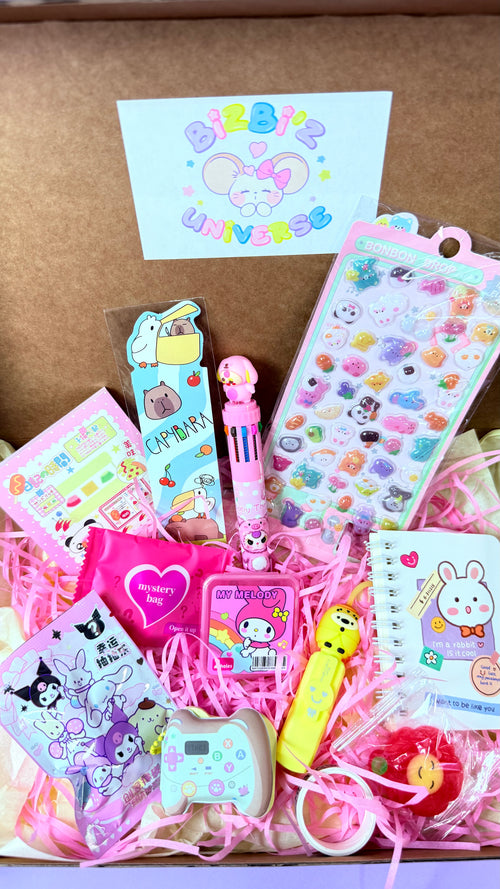 💖 BIZBOX  DÉCOUVERTE 💖 10 ARTICLES