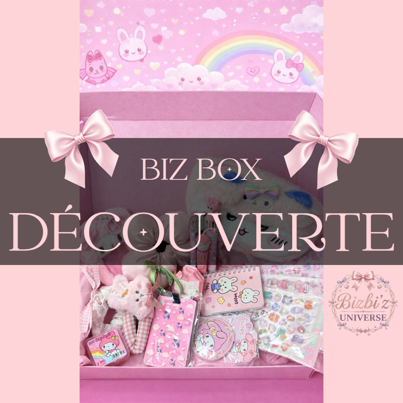 💖 BIZBOX  DÉCOUVERTE 💖 10 ARTICLES